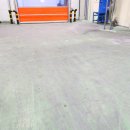 유림-1119 이미지