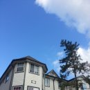 프랑스리조트 이미지