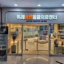 더바른동물병원 네이버블로그