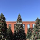 동곡로185번길 이미지