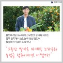 상조농장 이미지