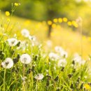 명심보감 한문교실 이미지