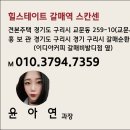 아파트 규제 ‘산 넘어 산’... 빈자리 노리는 오피스텔 ‘힐스테이트 갈매역 스칸센’ 이미지