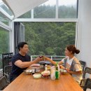 계곡사슴팬션 | 강원도 정선 임계 취사가능한 바베큐 계곡펜션 신상 독채숙소 추천 스테이가목