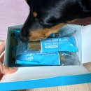 구강농장 이미지