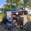 여주-0008 | 2025.12.09 미야코지마 2일차