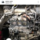 시니어 오토 이미지