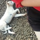 푸른밤글램핑하우스 이미지