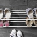 발라당냥 이미지