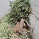 경북대학교 정문 이미지