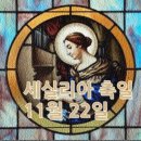 세실리아 이미지