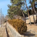 전주이씨 삼효 정려 이미지