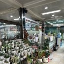 새보건약국 이미지