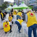 시흥시 세계인의 날 이미지