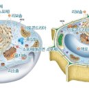 미래인력 네이버블로그