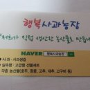 애플마미