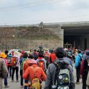 반구정습지 이미지