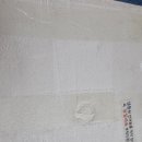 컴페니언 펫 이미지