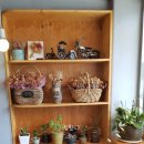 누들꼬마김밥 이미지