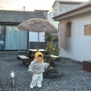 봉황3길 20 도로변 | [제주 여행] 15개월 아기랑 3박4일 1일차 (서쪽 일정)