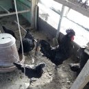 보리공인중개사사무소 이미지