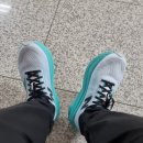 뉴발란스 sc트레이너(2E)로 18km 달려본 후기(부평->송도 현대아울렛 도심러닝)