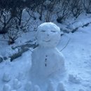 대전추모공원 이미지