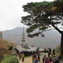 청량사 - 1641 | 청량사