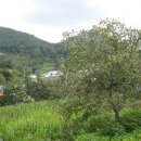 배티경로당 이미지