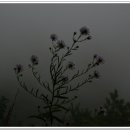 산성의 아침 이미지