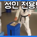 쌍용태권도 이미지