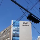엘피스의원