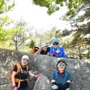 강나루 오토캠핑장 이미지