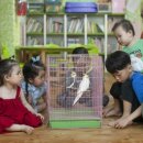 딩동댕어린이집 이미지