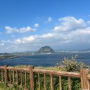 송악산 부남코지 화장실 | 10월 제주도 여행 3박 4일 코스 2일차 송악산 둘레길 부남코지