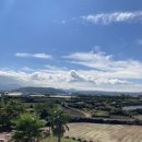 우진그린 이미지