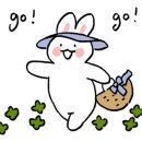 경찰병원.KT가락지사 이미지