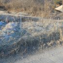 김종철농장 이미지