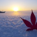 강남베스트내과의원 이미지