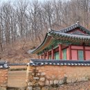 충신의사단비 이미지