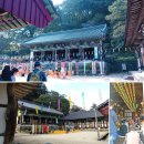 목어-기원 | 마곡사 절경-봄꽃 ‘春 마곡’ 가을단풍 &#39;秋 마곡&#39;