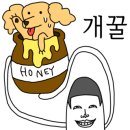 버들스크린골프 이미지