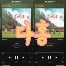 [다홍] 위키미키 Weki Meki [CoinciDestiny] 스트리밍 인증 이미지