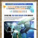 부산아쿠아리움-망치상어 4행시짓기 이벤트 [2차]응모기간:~8/14(토), 발표:8/16(월) 이미지