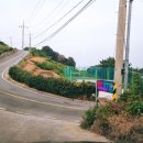해녀 김금단 포차 네이버블로그
