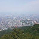 앞산강아지 이미지