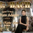 힐링플루트 이미지