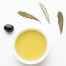 올리브독 이미지