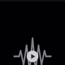 셀럽퍼피 이미지