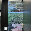 인테리어(2) : 학동 인테리어 투어 구정마루, 윤현상재 머티리얼 라이브러리, LX하우시스 강남